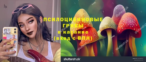 стафф Нефтекумск