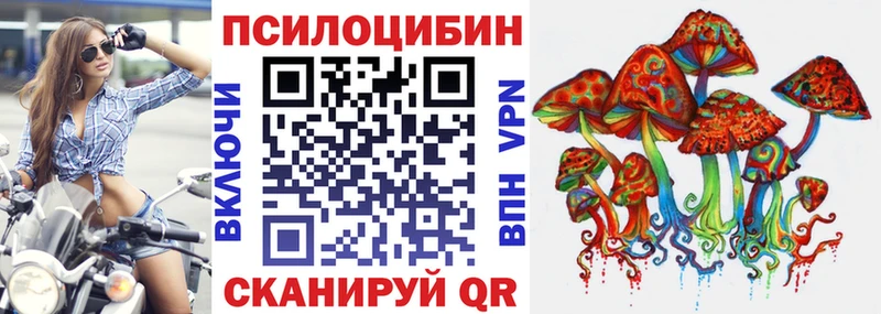 Псилоцибиновые грибы Psilocybe Лихославль